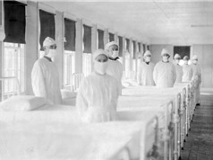 COVID-19 sẽ bị lãng quên như đại dịch cúm năm 1918?